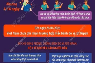 Chủ động phòng chống dịch bệnh do visus Nipah
